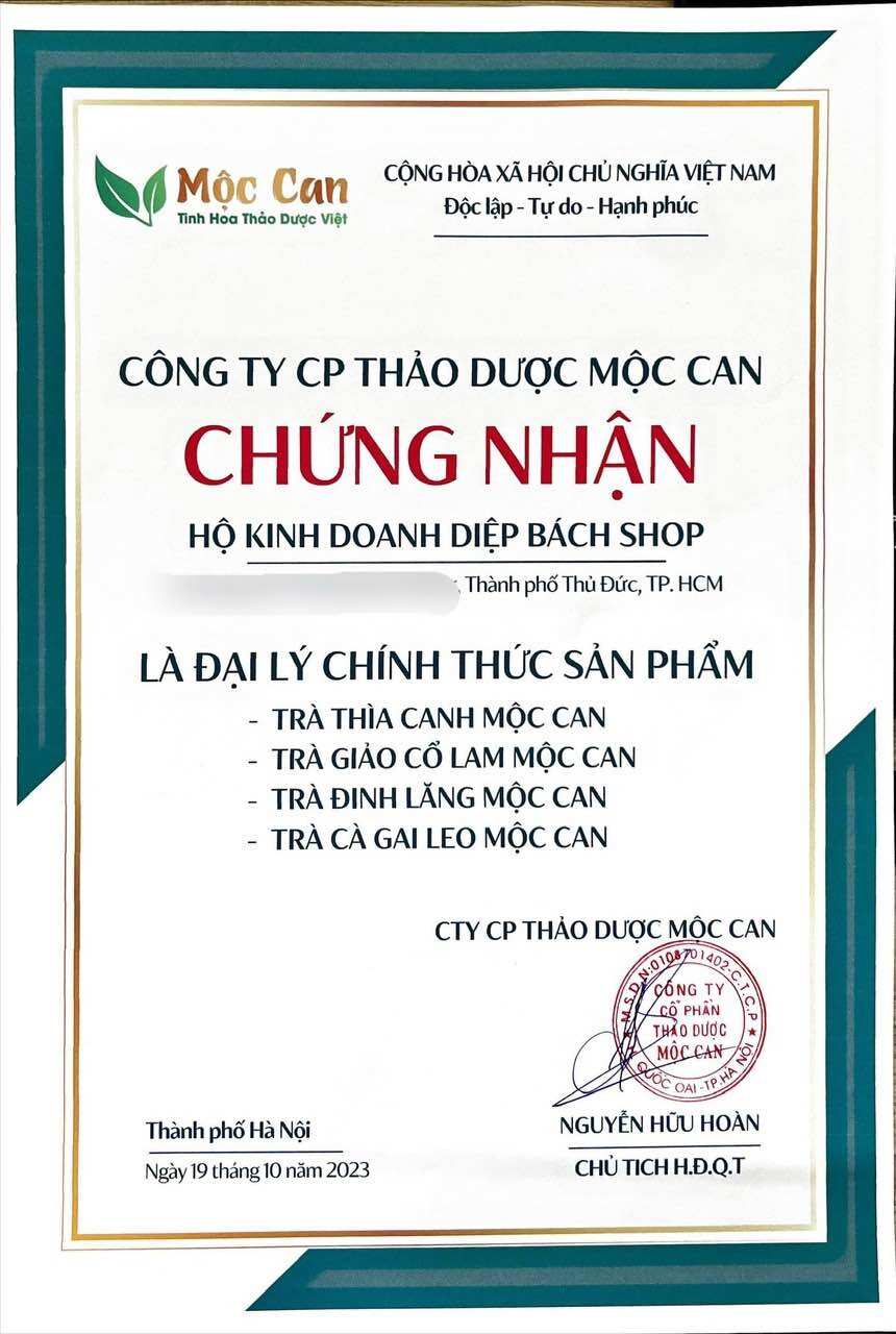 Combo 3 hộp Trà đinh lăng Mộc Can hộp 25 túi lọc