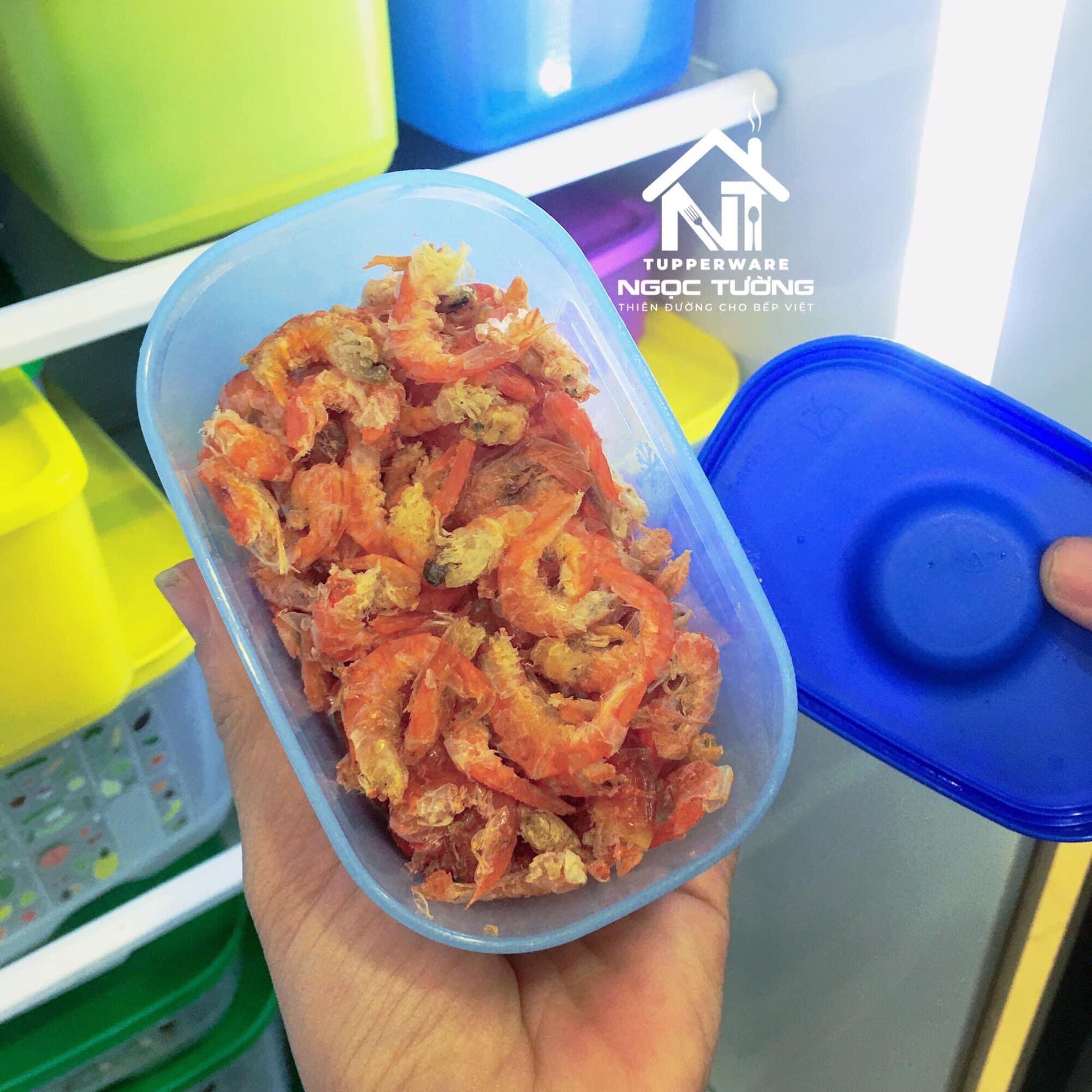 Bộ 4 hộp trữ đông mini đồng hồ tup