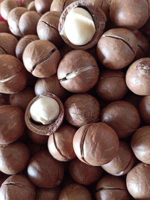 Hũ 500g macca đaklak nứt vỏ tự nhiên