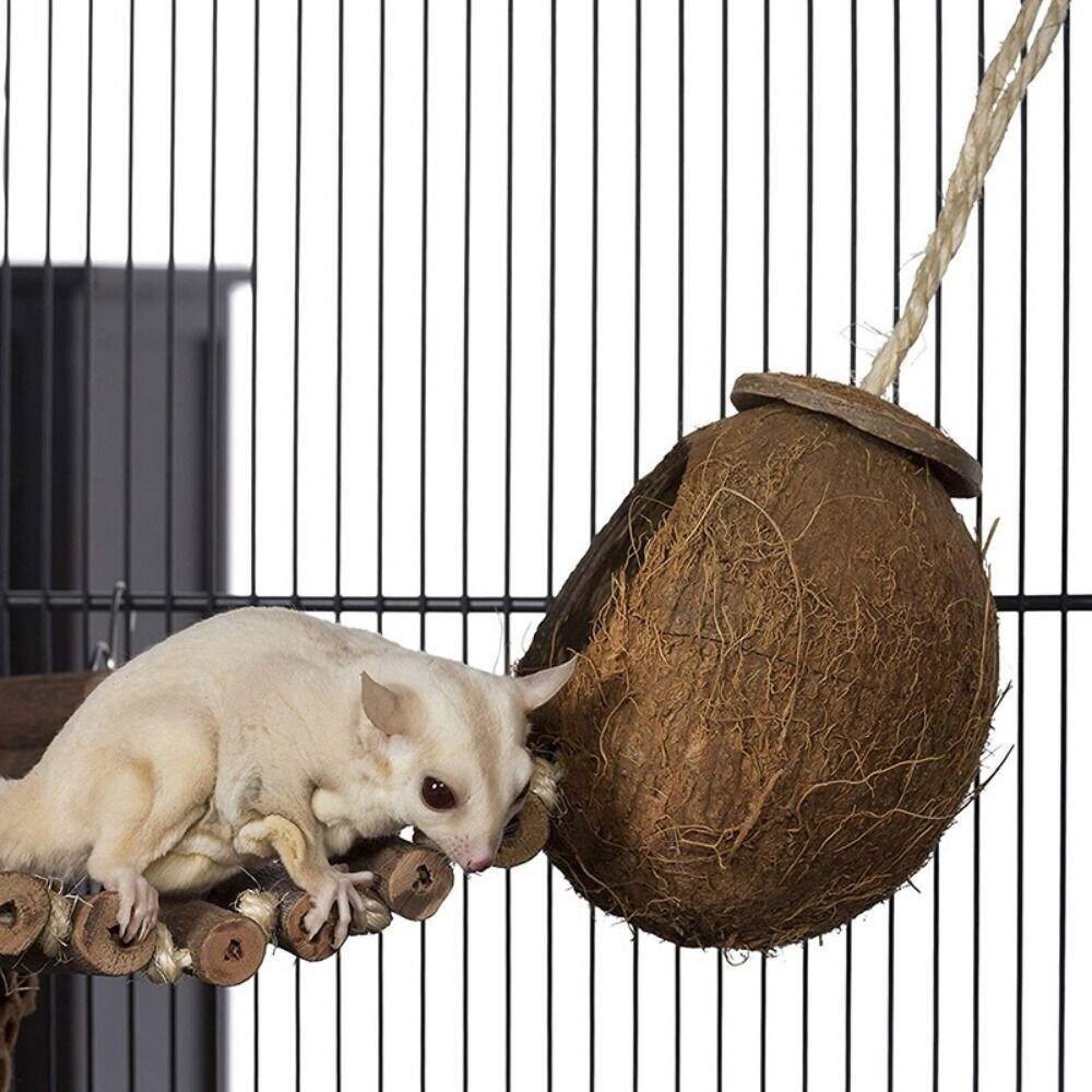 Tổ gáo dừa cho vẹt/sóc/hamter