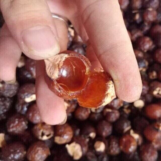 Bồ hòn khô 1kg đã tách hạt