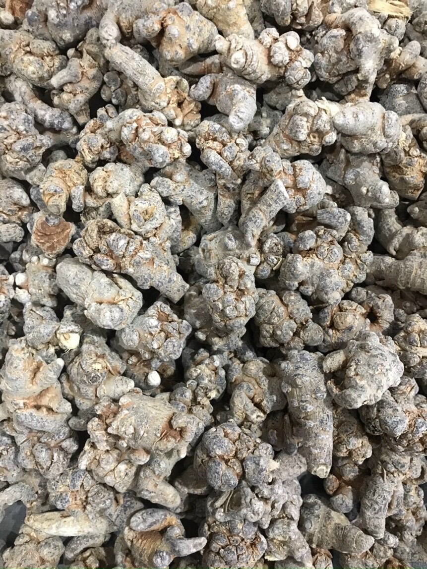 Củ Tam Thất Bắc 500gr Hàng 50 Củ/1Kg [củ 5 năm tuổi]
