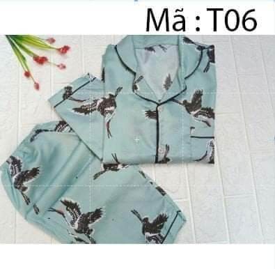 💥💥💥💥đồ bộ pizama quần dài tay dài siêu xinh 💥💥🔥🔥🔥