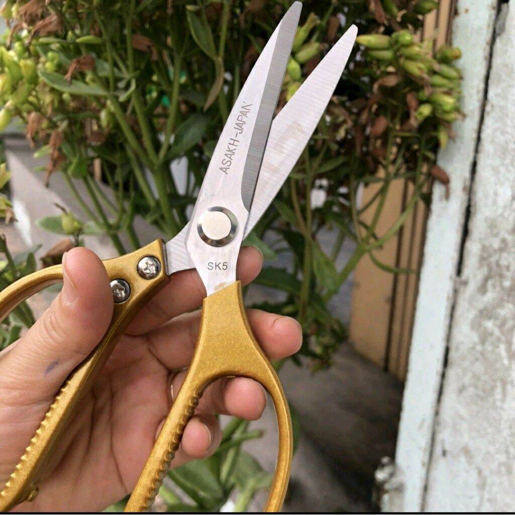 Kéo cắt gà thịt đa năng Nhật Hani47