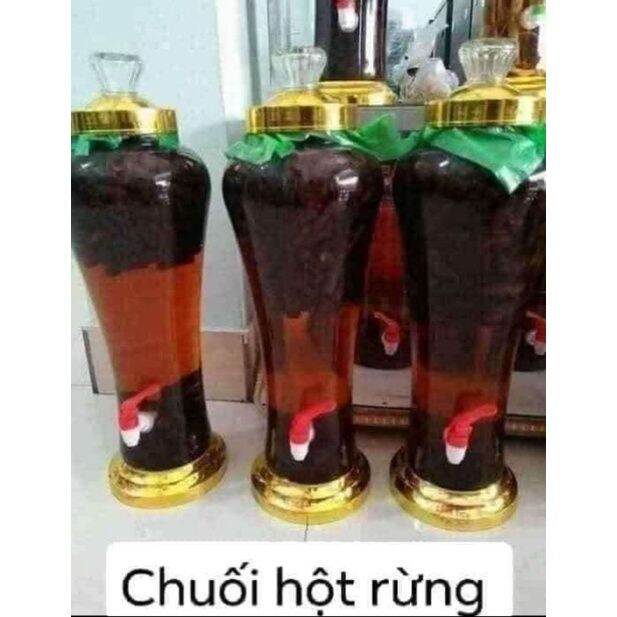 cây giống chuối hột rừng (cấy mô)