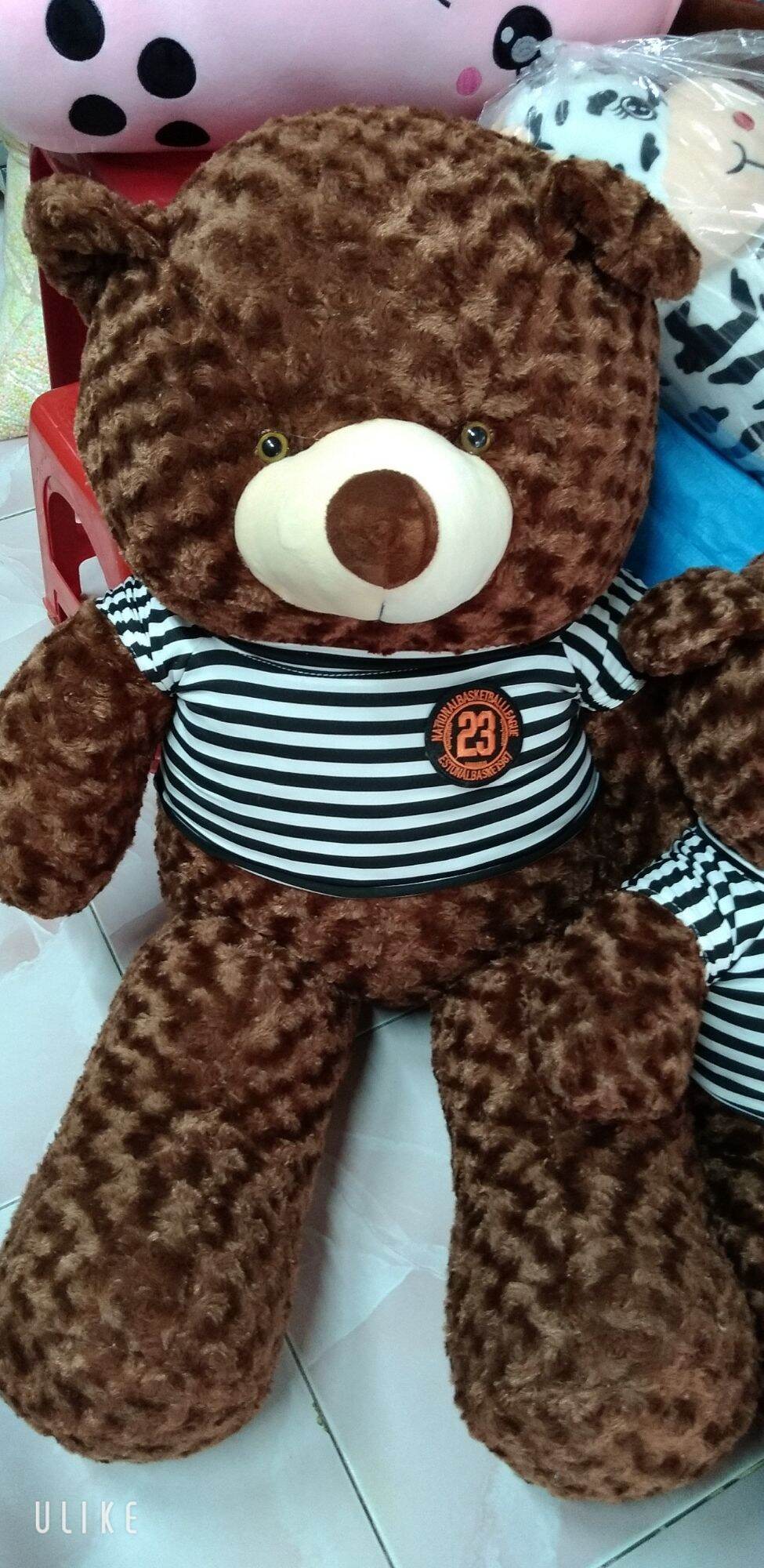 gấu teddy  60 cm,  70 cm, 80cm, 1m