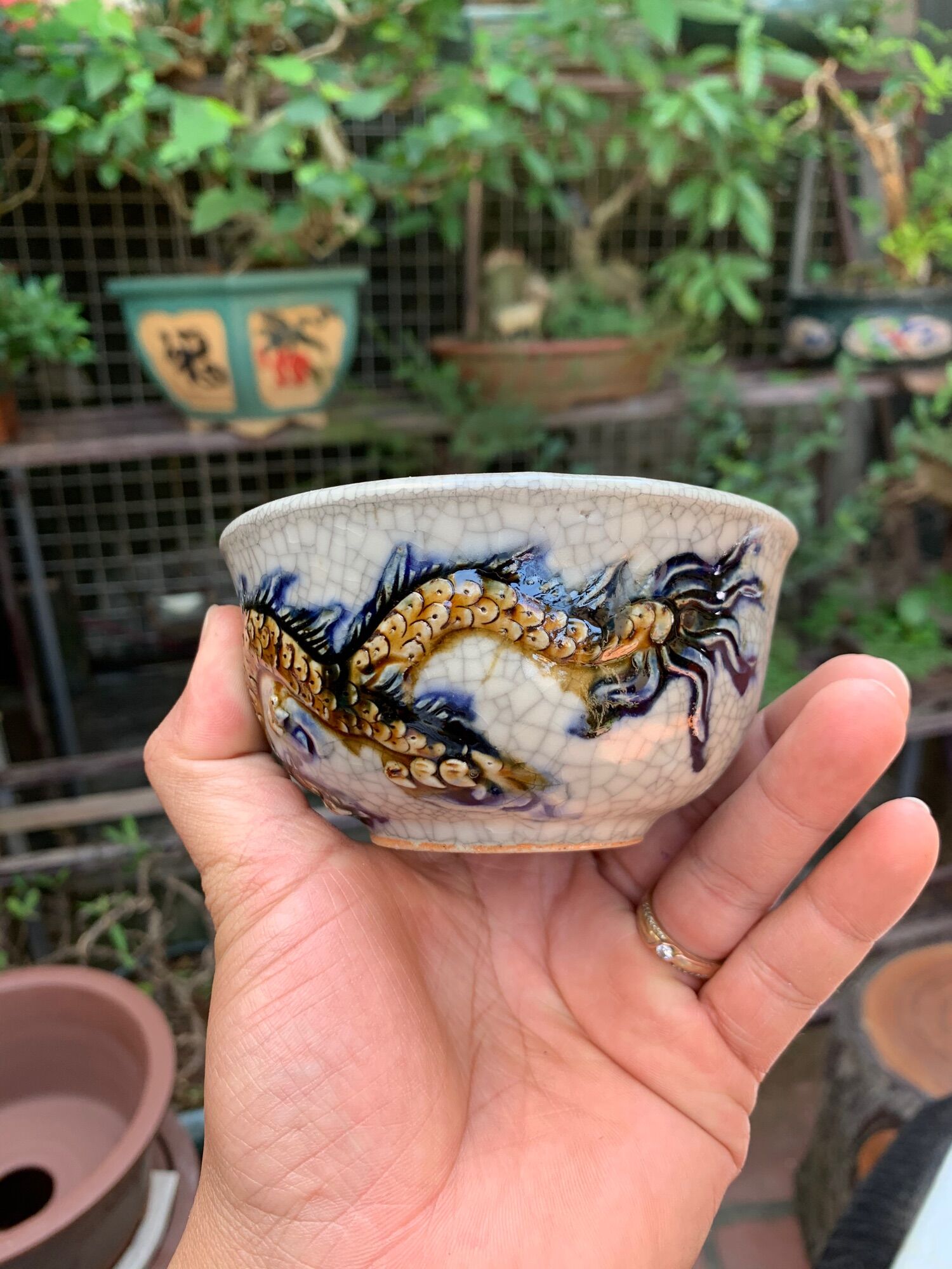 Chậu trồng cây bonsai mini