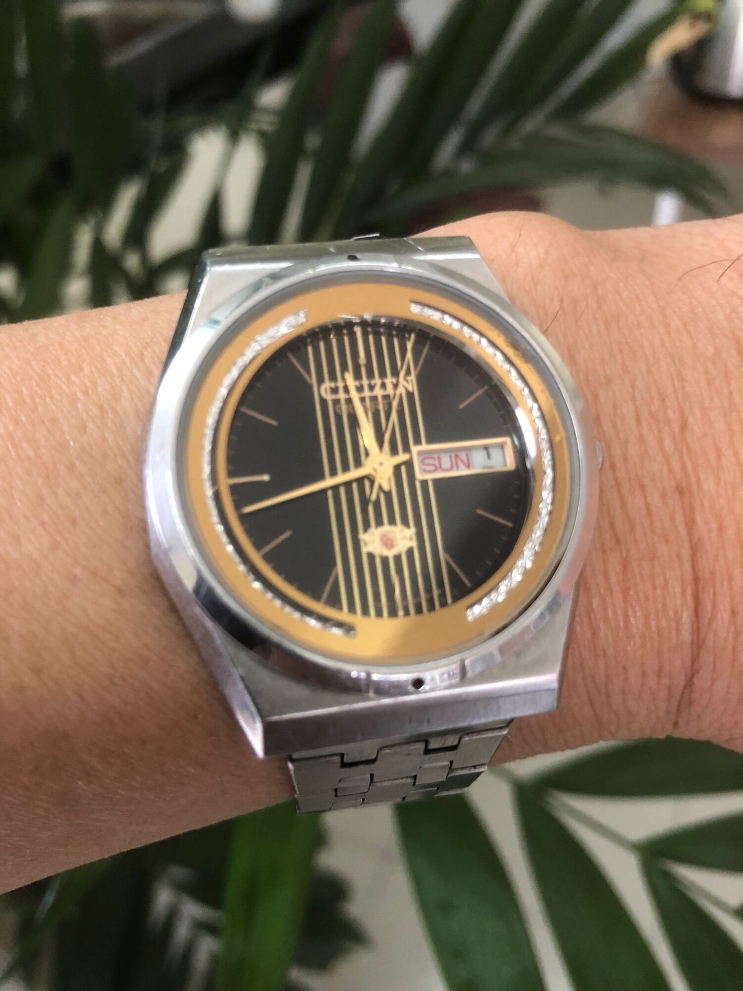 citizen vintage Chất Lượng, Giá Tốt 