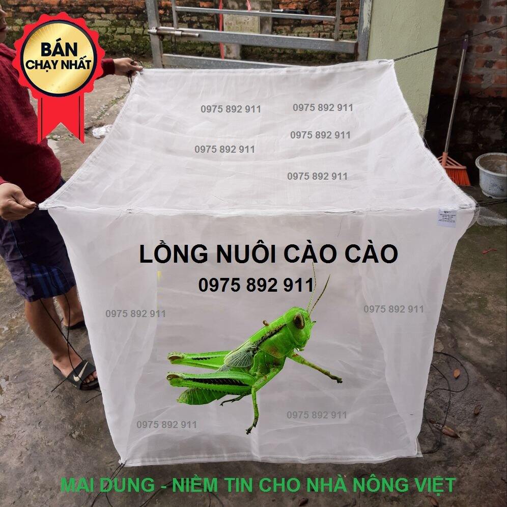 Lồng lưới nuôi cào cào , châu chấu cho chim cảnh 1x1x1