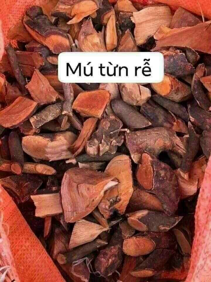 1kg kg rễ cây mú từn khô tây bắc