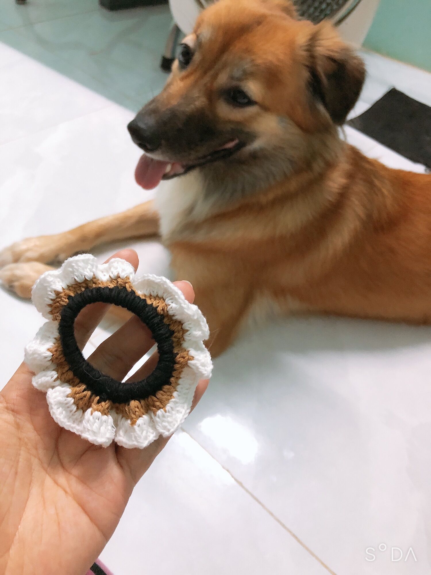 [HCM]đồ cột tóc handmade
