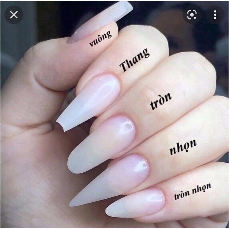 Nailbox sơn trơn tuỳ chọn màu D809