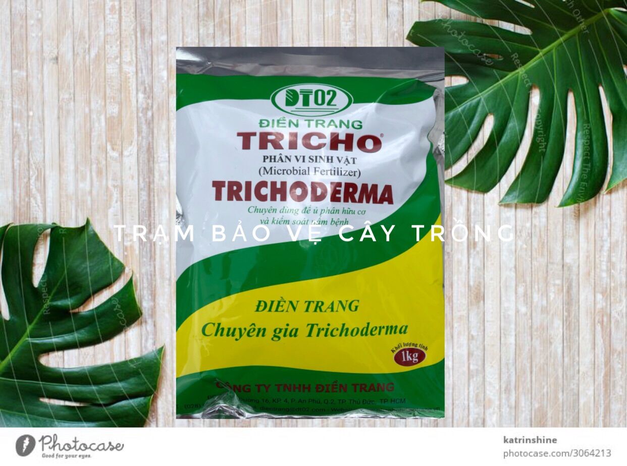 Phân Vi Sinh- Nấm Trichoderma ủ rác hữu cơ ( rác nhà bếp) 1kg