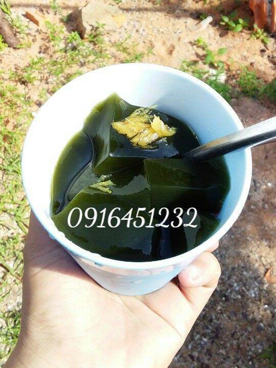 100g Lá sương sâm lông khô tặng bột nang mực (hút chân không)