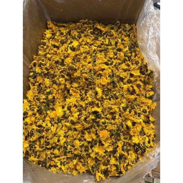 250g trà hoa cúc vàng