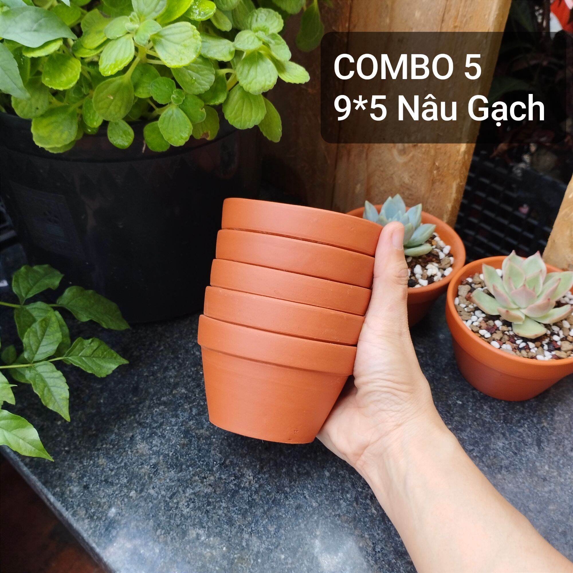 [Bao Bể Vỡ] Combo 5 Chậu Đất Nung Trồng Sen Đá Size 10 x7 cm