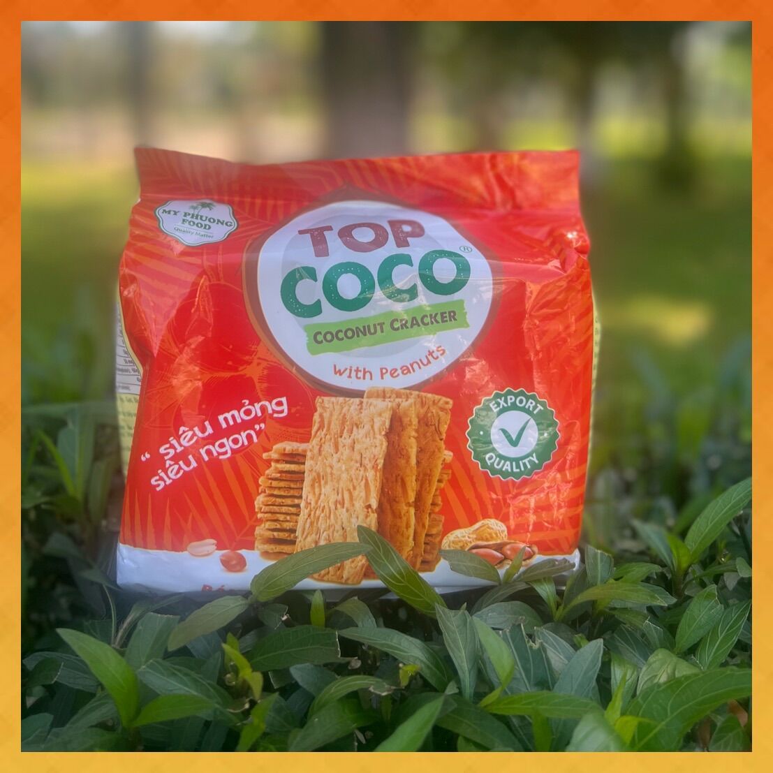 Bánh dừa nướng đậu phộng Topcoco gói 170g