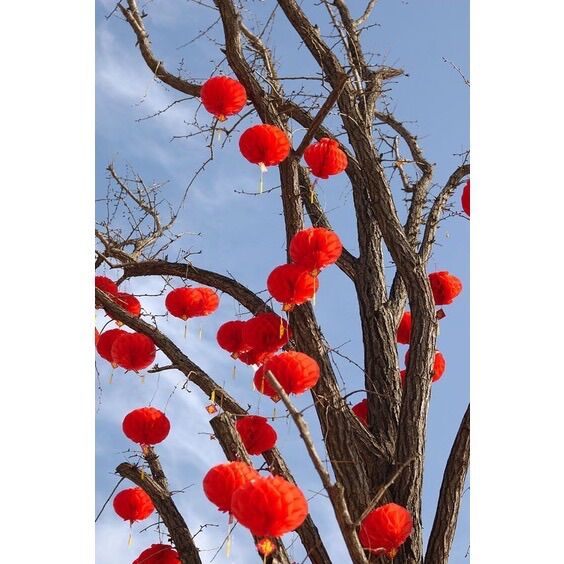 Đèn lồng đỏ trang trí Tết 15cm