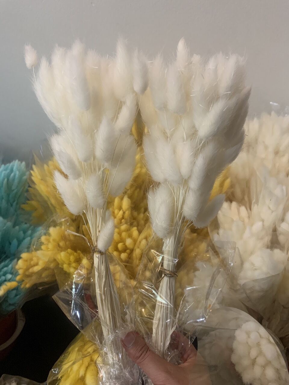 Hoa Cỏ Đuôi Thỏ Khô Trang Trí Decor (60 bông/ bó)