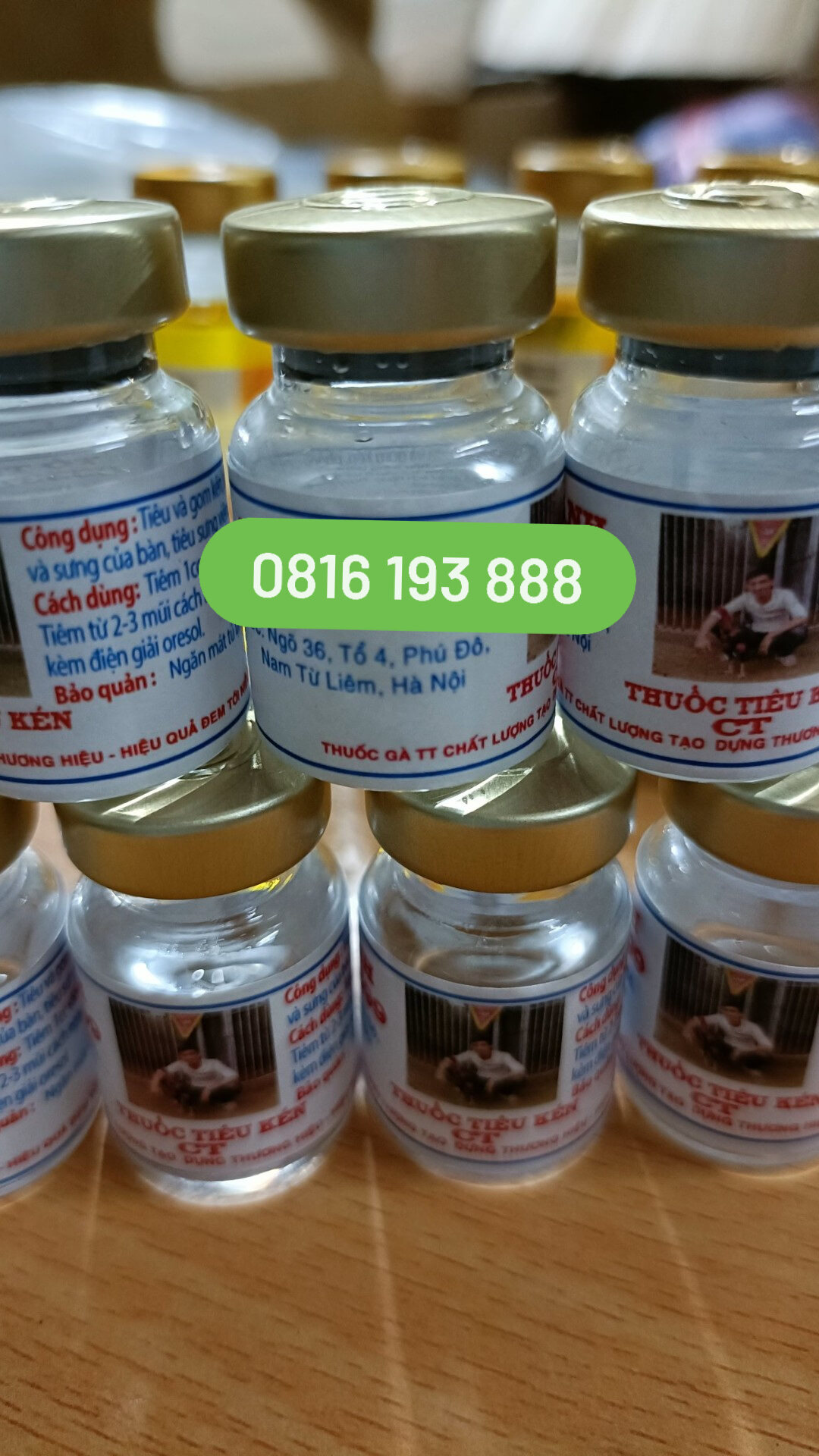 Th uốc tiêu kén tô thanh - Th uốc tiêu kén cho gà chọi