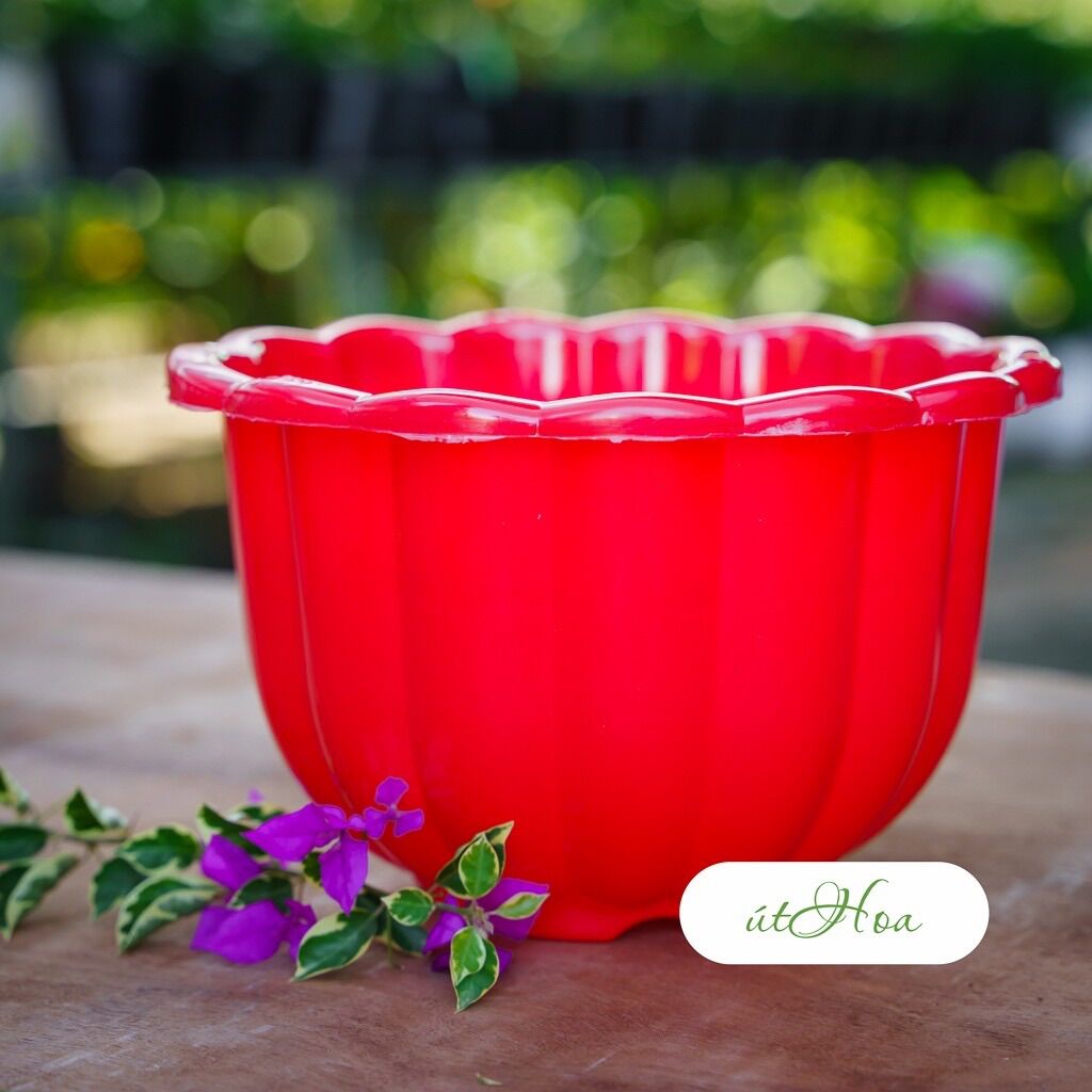 Combo 10 Chậu Treo Bí Lớn 22X14Cm (Chọn Màu, Kèm Dây Treo)