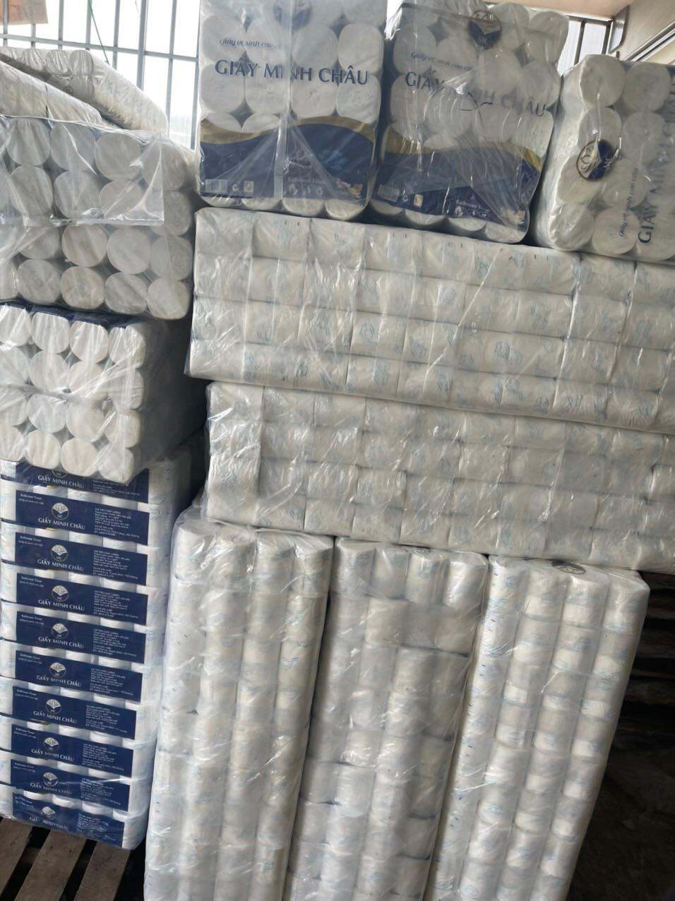 Giấy vệ sinh in hình cá heo xanh