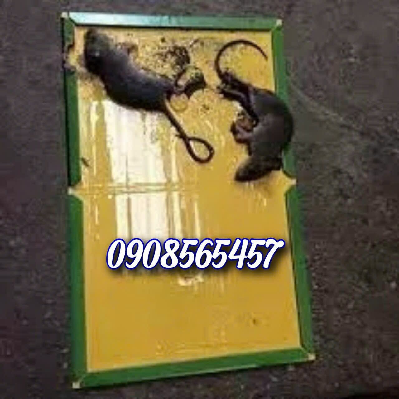 [HCM]THUỐC DIỆT CẢ ĐÀN CHUỘT ARS THÁI LAN (gói 80g)
