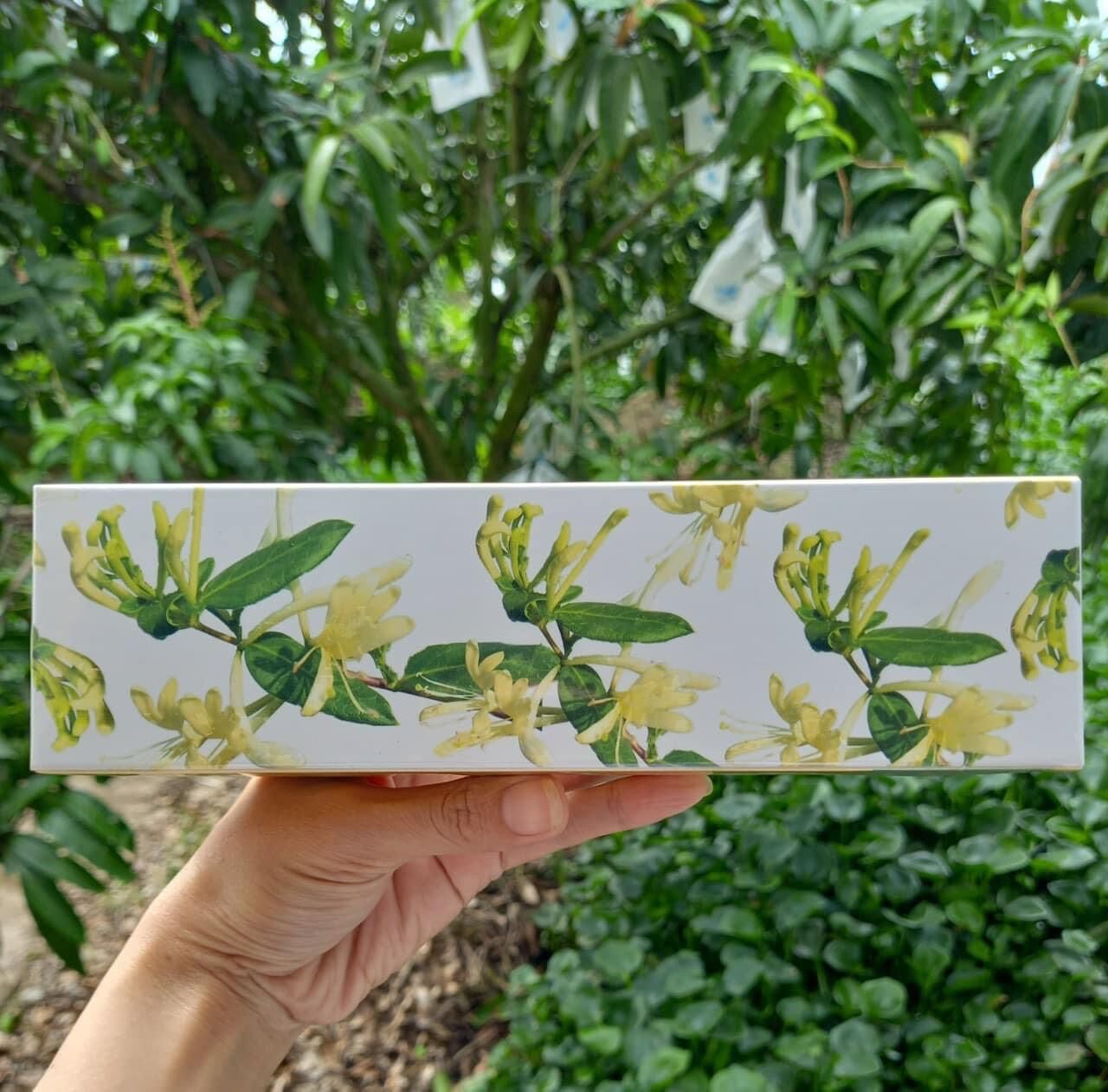 Trà kim ngân hoa chai 30g