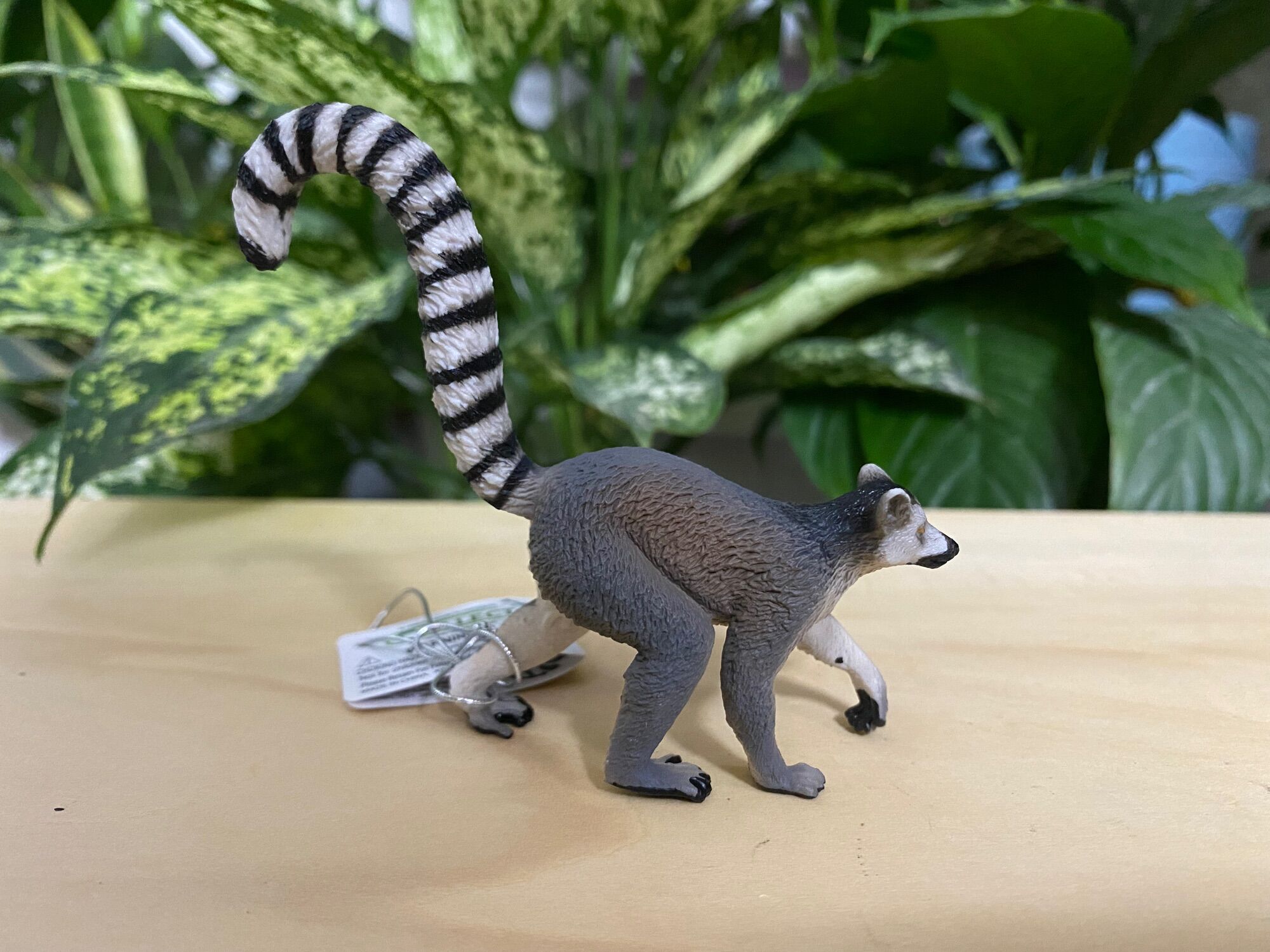 [CHÍNH HÃNG COLLECTA] MÔ HÌNH ĐỘNG VẬT - VƯỢN CÁO ĐUÔI VÒNG