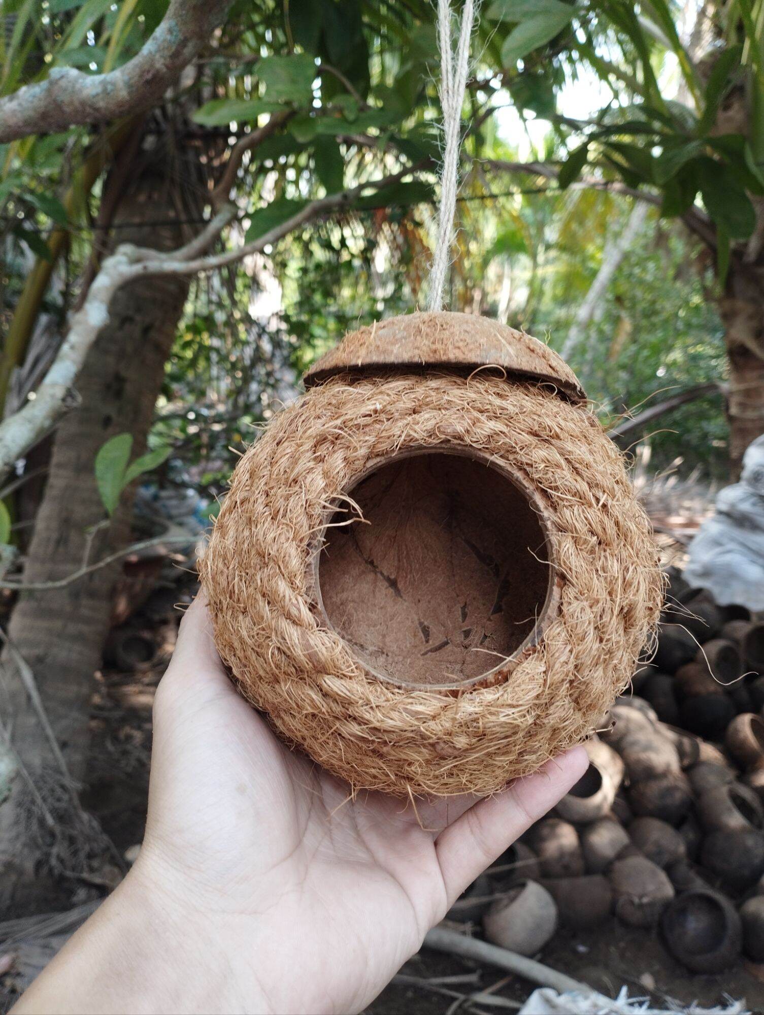 Tổ chim gáo dừa quấn xơ dừa trang trí