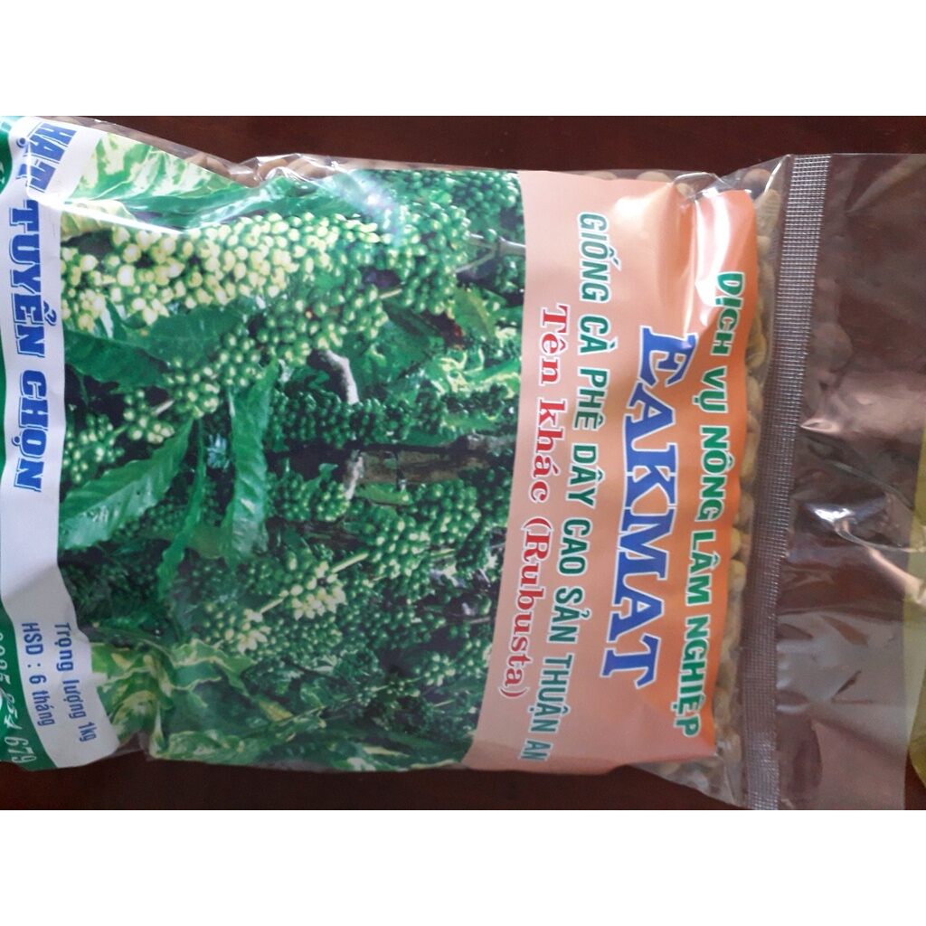 Hạt giống cà phê dây thuận an có bảo hành.