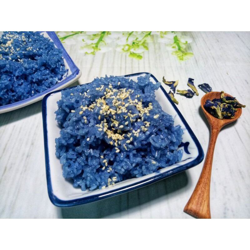 chậu cây hoa đậu biếc đang nhiều bông