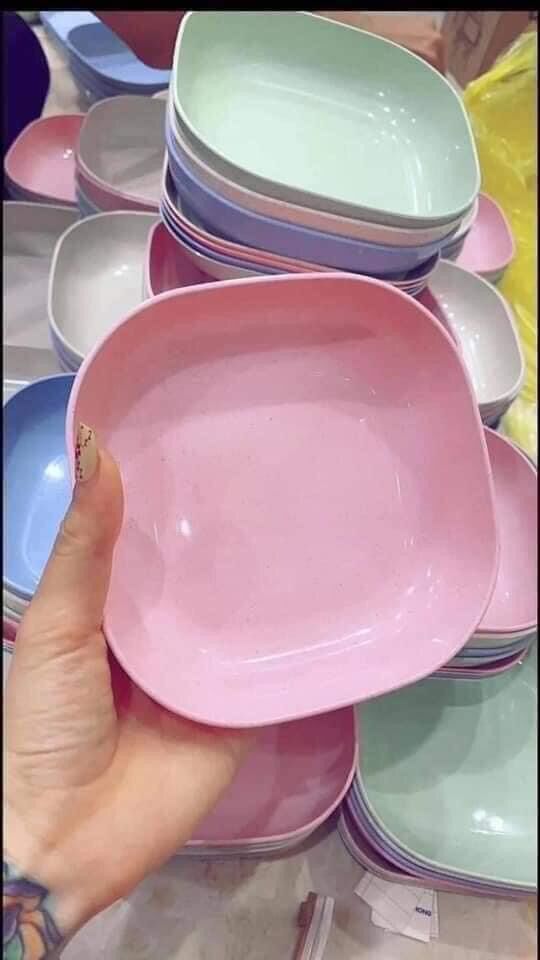Set 8 đĩa lúa mạch màu pastel siêu xinh