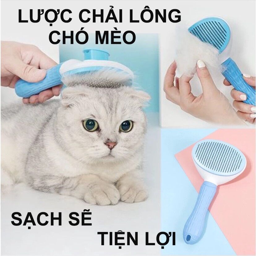 Lược Chải Lông Chó Mèo