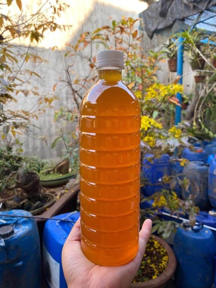 [FREESHIP,, MẬT ONG NGUYÊN CHẤT 100%] Mật Ong Hoa Cà Phê Đaklak (1lit)