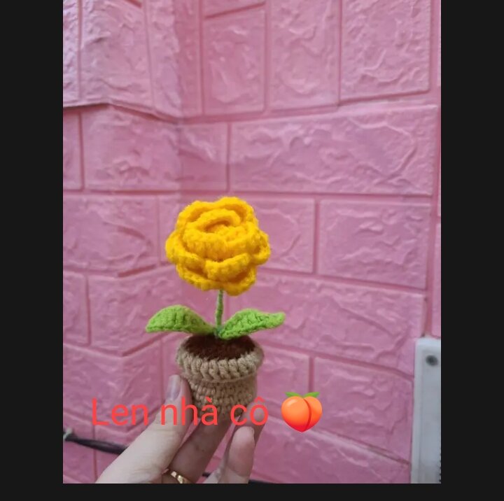 Hoa Hồng Len Handmade