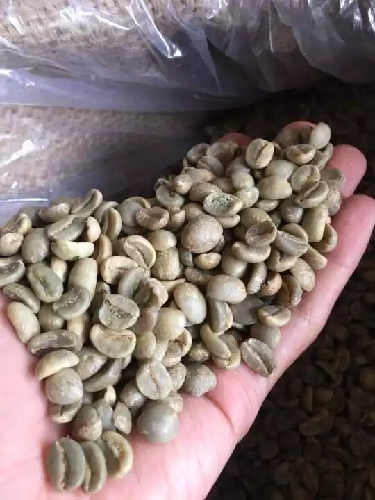 Nhân cà phê arabica cầu đất chất lượng cao 1kg