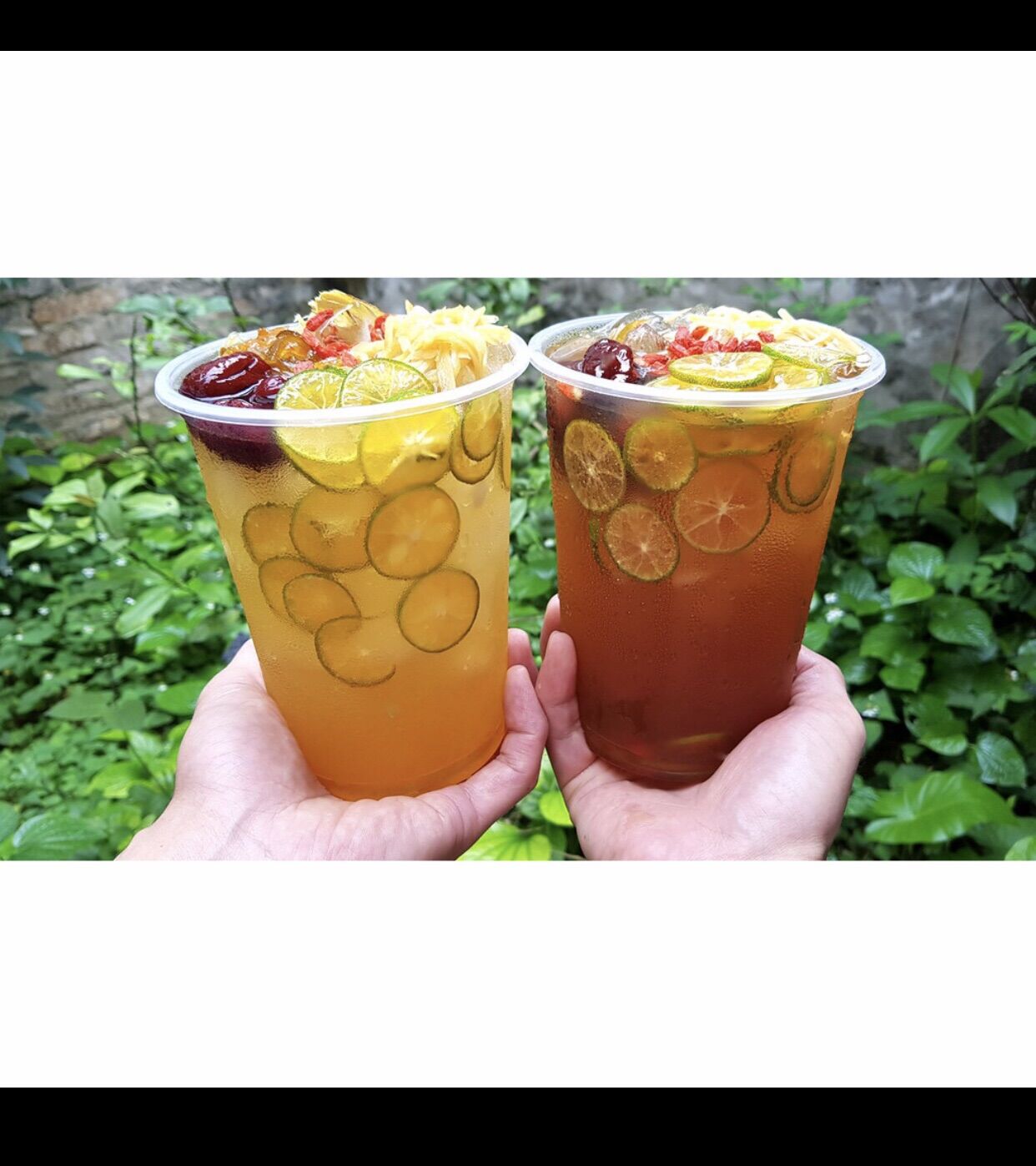 [Set] Combo 50 ly trà tắc khổng lồ 800ml, 900ml