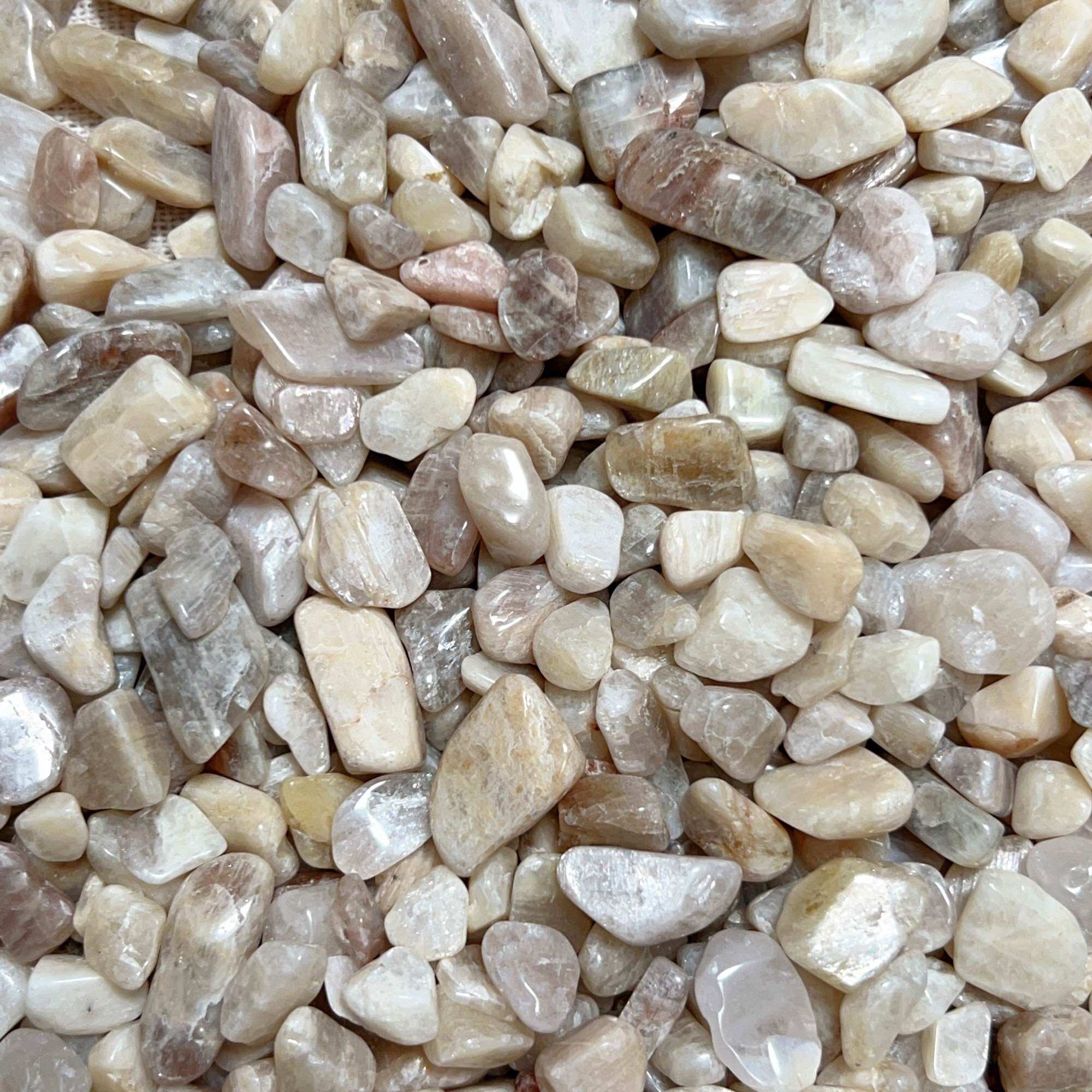 100g Vụn đá Moonstone - Đá mặt trăng tự nhiên