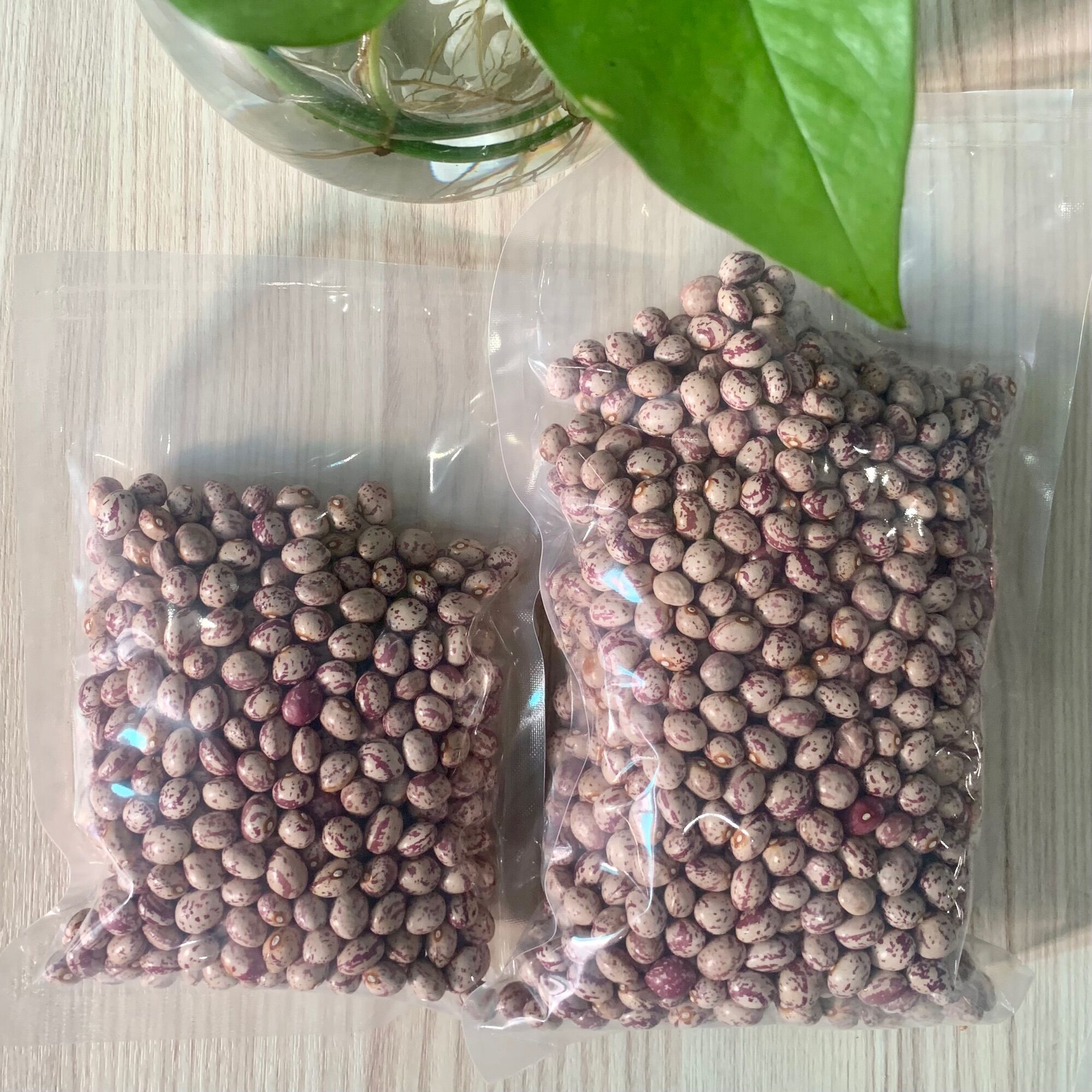 Đậu Cúc Sạch 250gram cô ba đà lạt