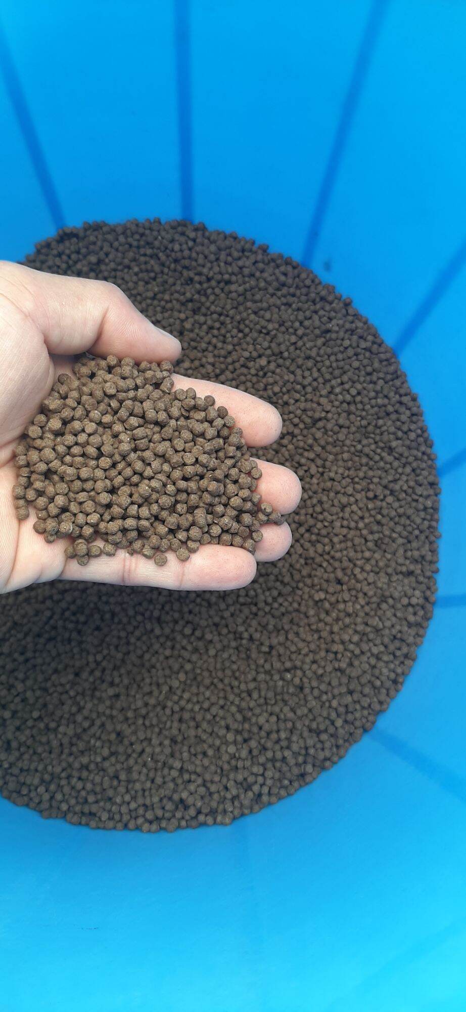 HCM.2kg   thức ăn cá koi.7 màu , beta viên 3 ly. mua trên 5kg tặng kèm 1 hủ muối tây ninh 100g