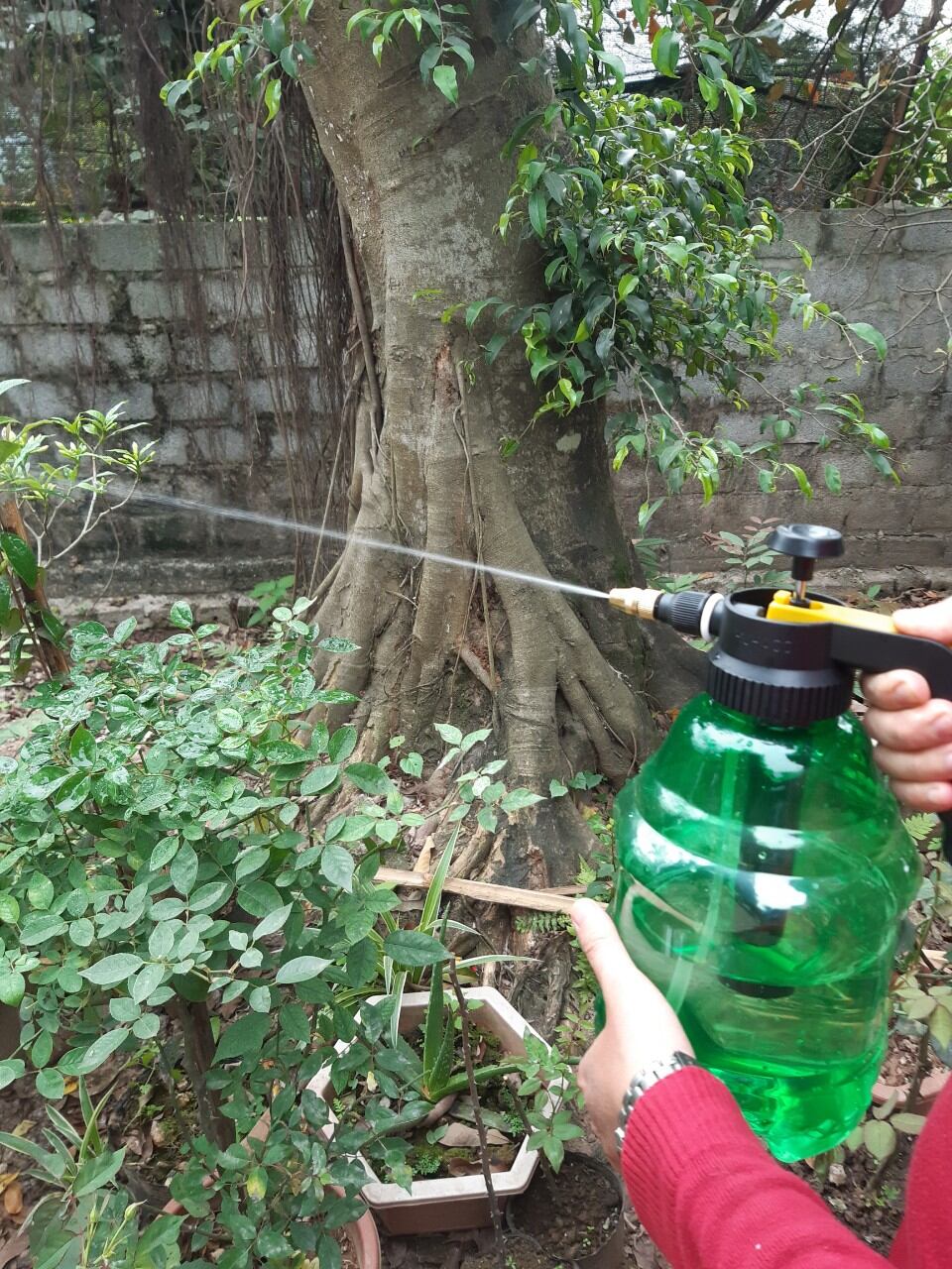 BÌNH xịt tưới cây phun sương 3 lít