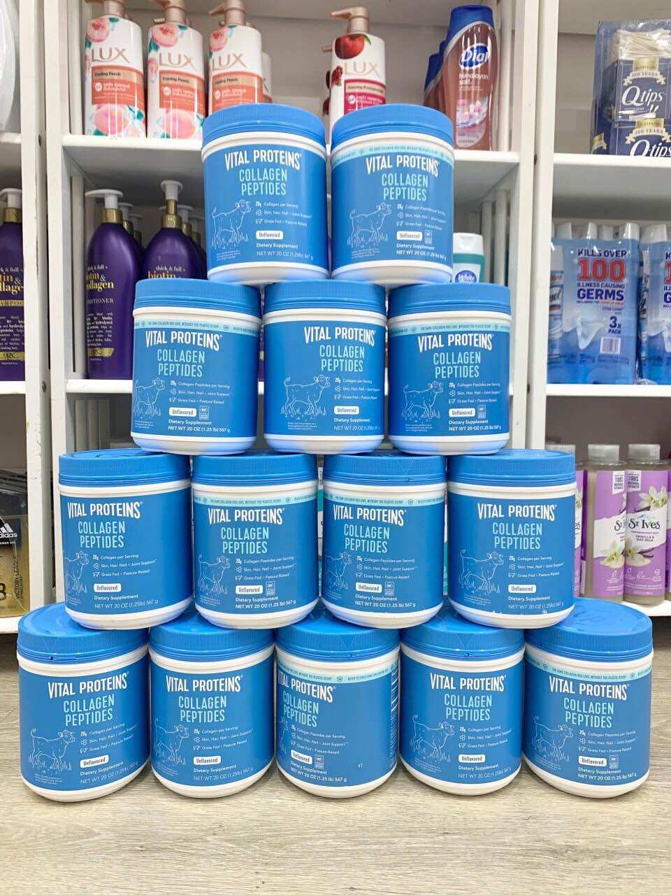 Date 2028-2029 collagen thủy phân 𝐕𝐈𝐓𝐀𝐋 𝐏𝐑𝐎𝐓𝐄𝐈𝐍 𝐂𝐎𝐋𝐋𝐀𝐆𝐄𝐍 𝐏𝐄𝐏𝐓𝐈𝐃𝐄𝐒 unflavored