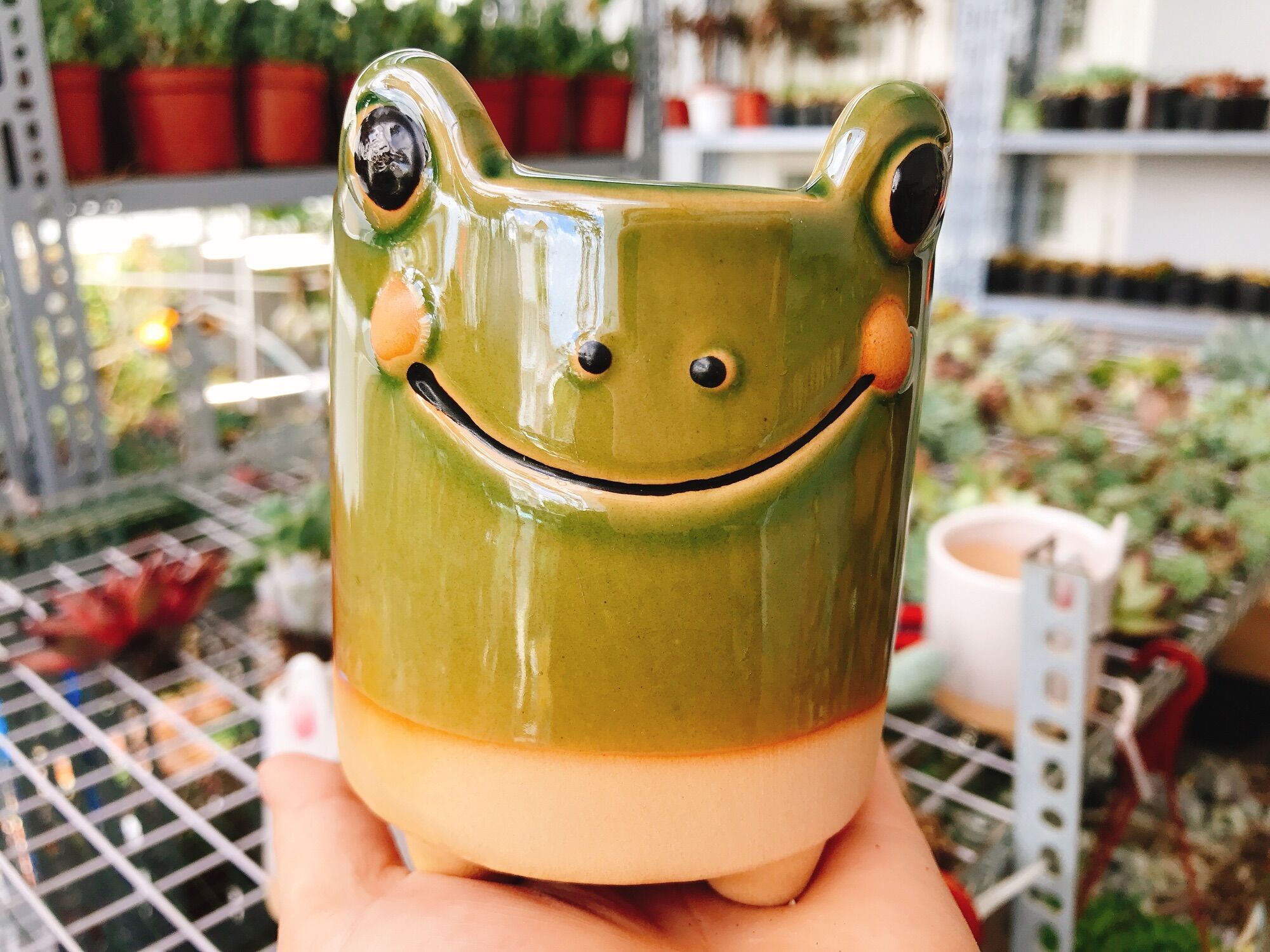 [HCM]Chậu hình thú siêu kute (thích hợp trồng sen đá sương rồng)