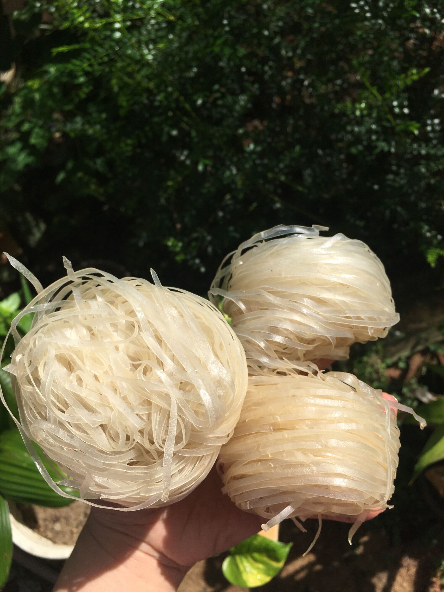 Bún phở khô Bình Định bịch 1kg tiện lợi