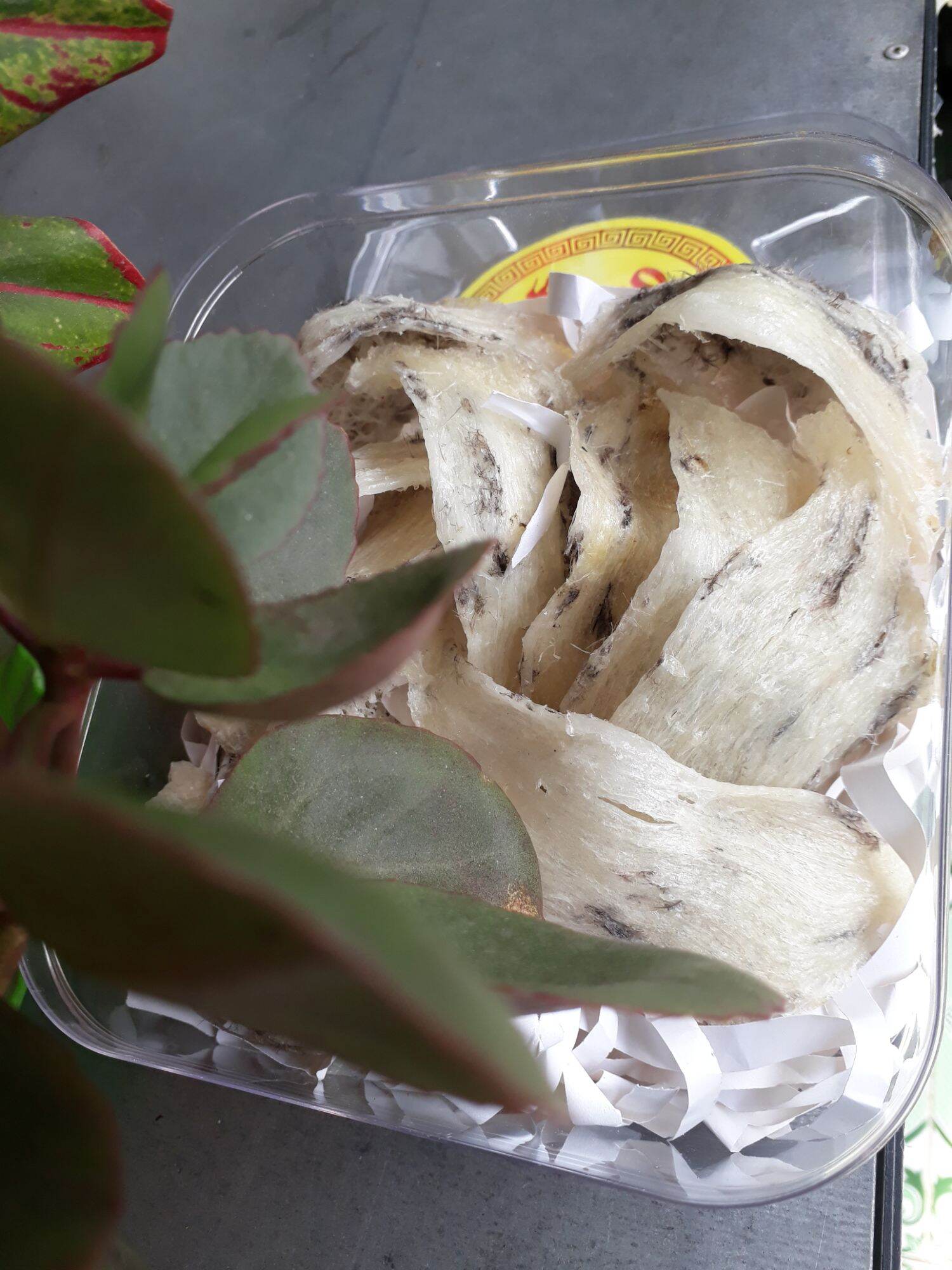 Tổ yến sào thô nhà nuôi - 100g