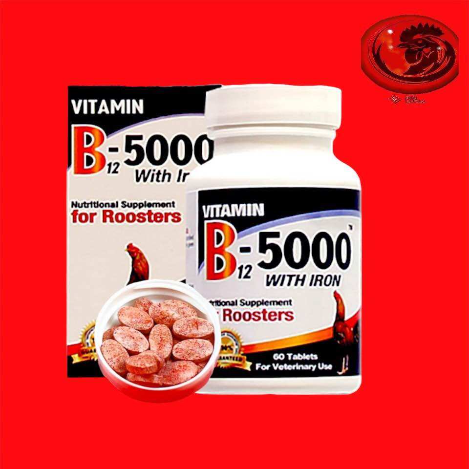 B12 5000 -  BỔ SUNG VITAMINS CHO GÀ ĐÁ CHIẾC LẼ 20 VIÊN