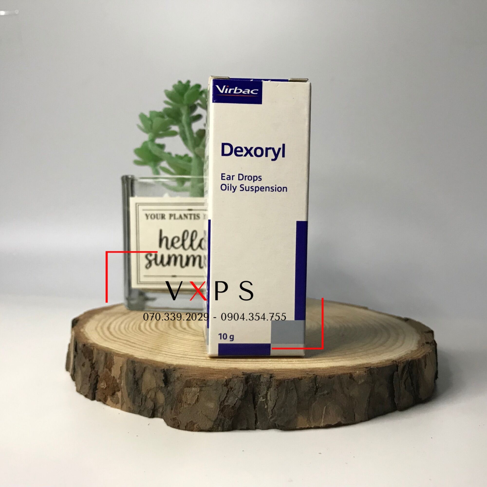 Nhỏ tai dexoryl - viêm tai hôi tai nấm tai chó mèo