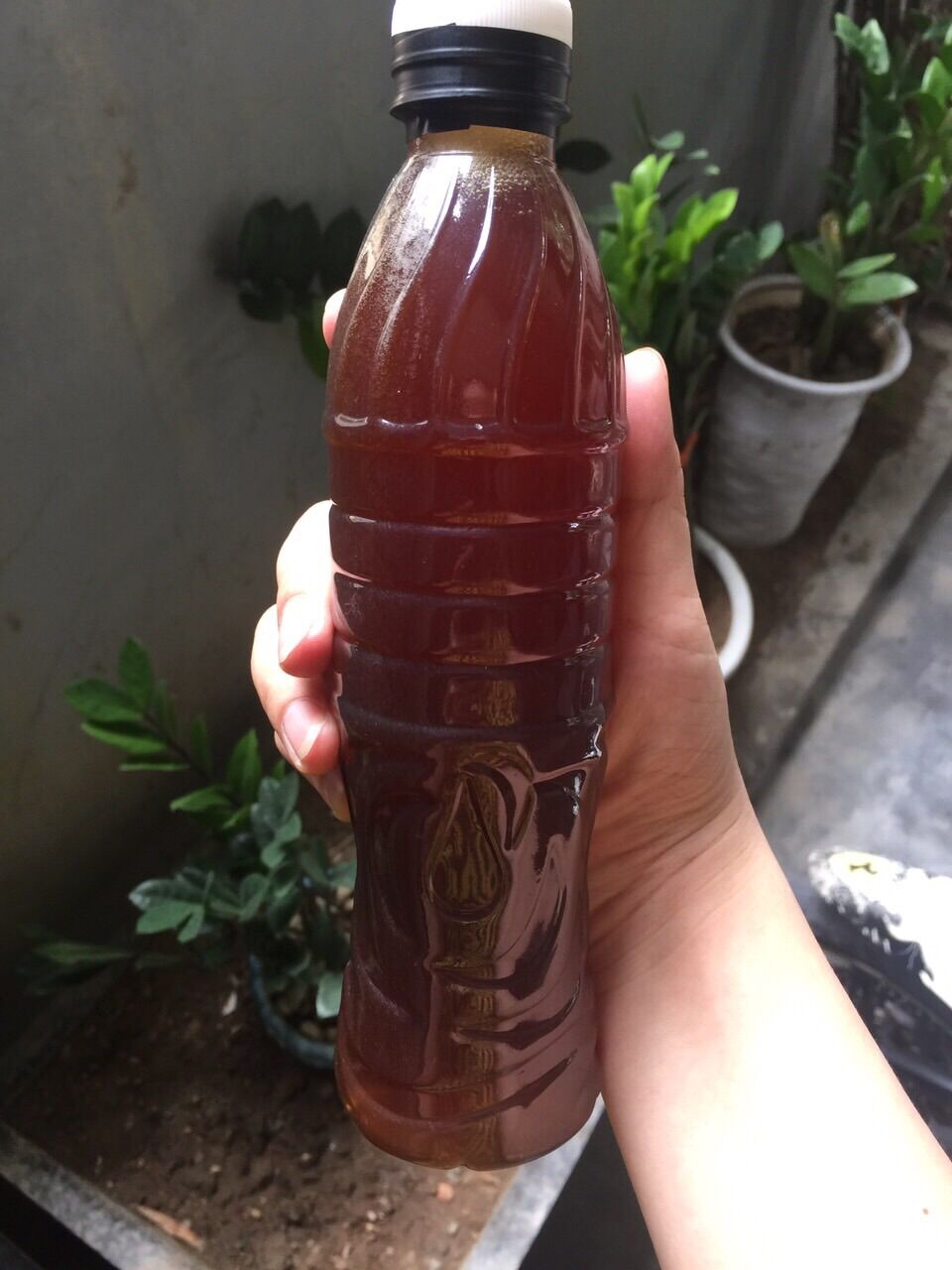 Mật mía nghệ an sánh đặc 2 lít