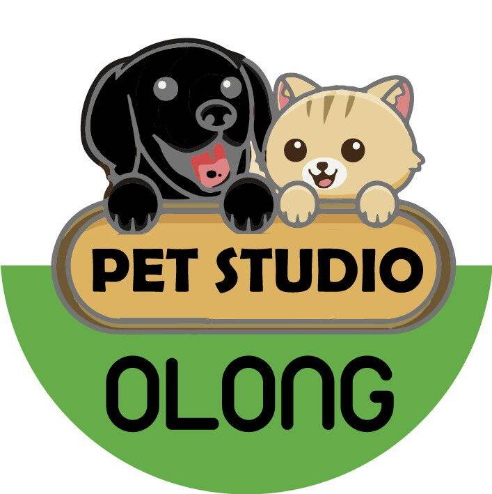 Olong Studio